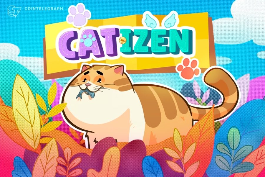 Catizen چیست و دانلود بازی تلگرامی کتیزن