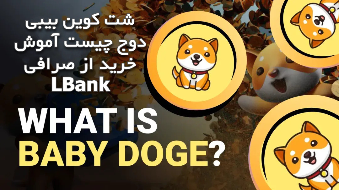 شت کوین Baby Doge چیست آموش خرید از صرافی LBank