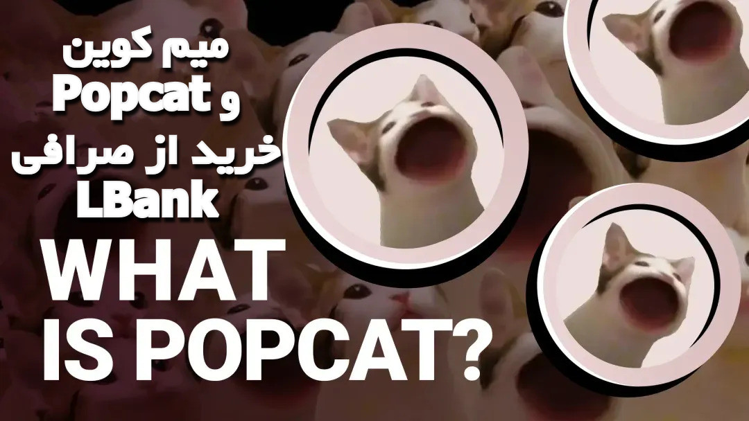 میم کوین Popcat و خرید از صرافی LBank